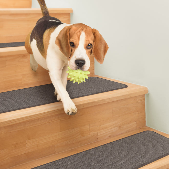 Skid-Resistant Carpet Stair Treads Gray