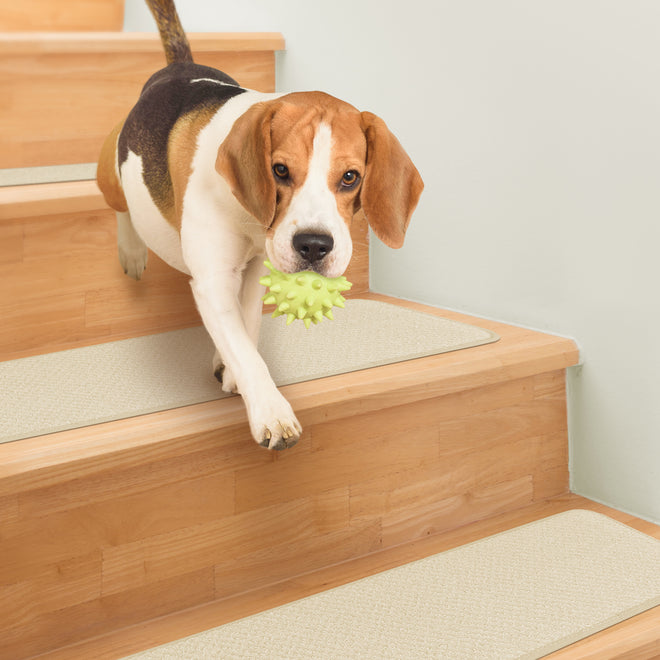 Skid-Resistant Carpet Stair Treads Ivory Cream