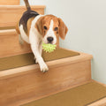 Skid-Resistant Carpet Stair Treads Bronze Gold