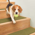 Skid-Resistant Carpet Stair Treads Olive Green