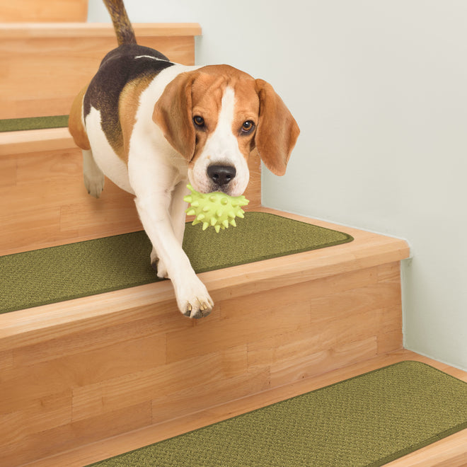 Skid-Resistant Carpet Stair Treads Olive Green
