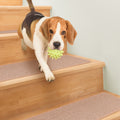 Skid-Resistant Carpet Stair Treads Pebble Beige