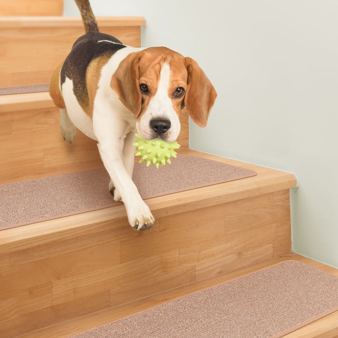 Skid-Resistant Carpet Stair Treads Pebble Beige