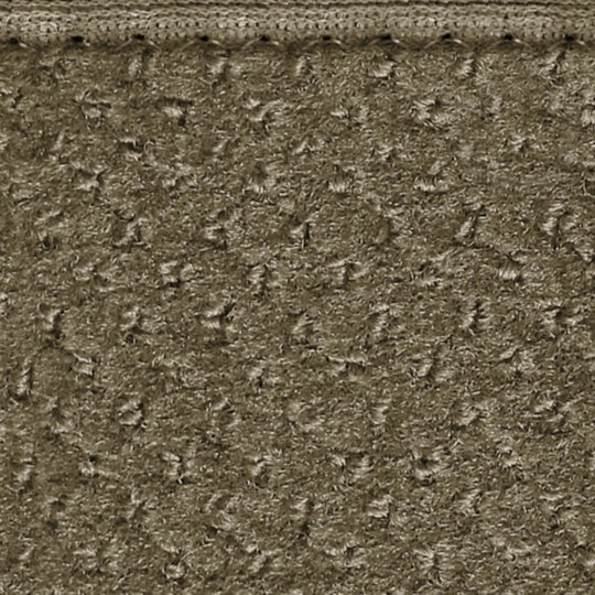 Color - Camel Tan