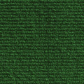 Outdoor Carpet Green