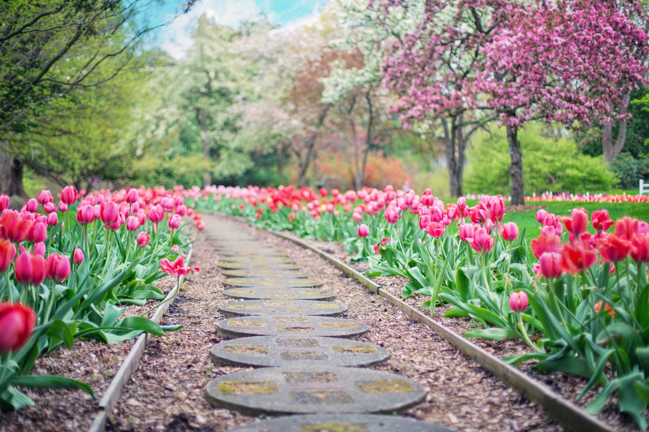 Celebrating Spring at Home